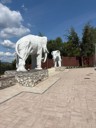 Similar image 22223860