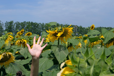 Similar image 22224624