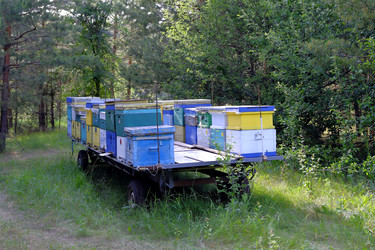 Similar image 22224626