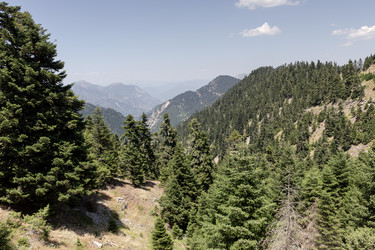 Similar image 22225306