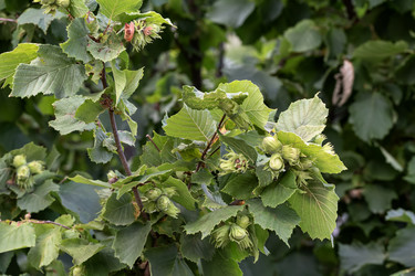 Similar image 22229403