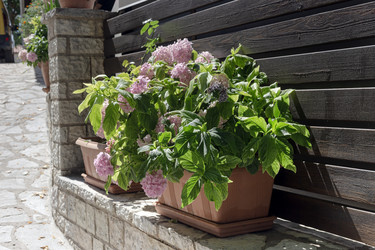 Similar image 22229405