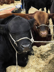 Similar image 22226867