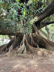 Similar image 22227016