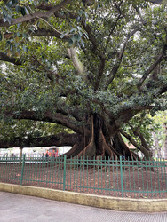 Similar image 22227018