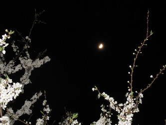 Similar image 22223869