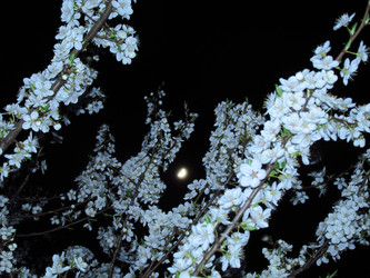 Similar image 22223870