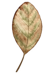 Similar image 22229246