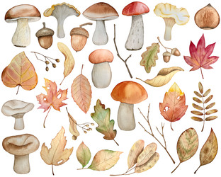 Similar image 22229251