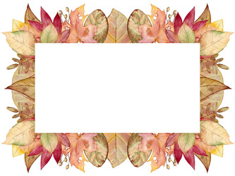 Similar image 22229261