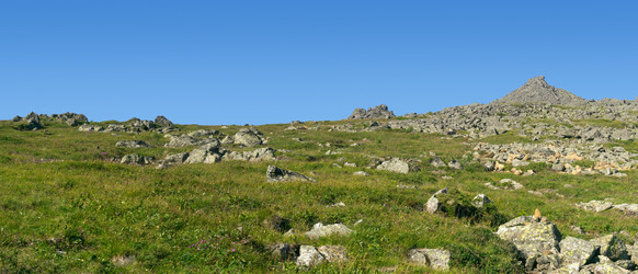 Similar image 22224247