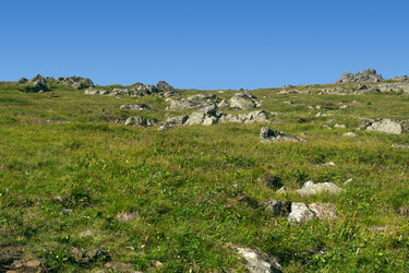 Similar image 22224248