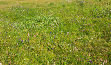 Similar image 22224250