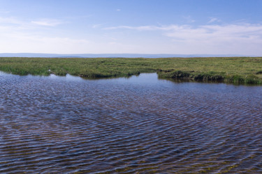 Similar image 22224254