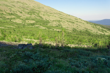 Similar image 22224256