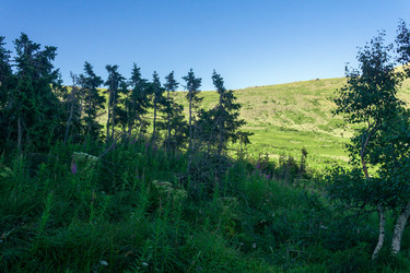 Similar image 22224258