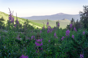 Similar image 22224259