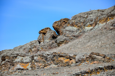 Similar image 22224466