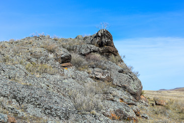 Similar image 22224479