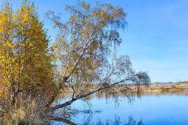 Similar image 22224484