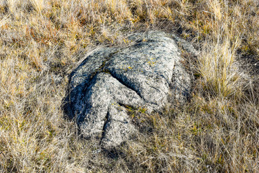 Similar image 22224485