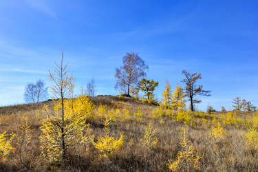 Similar image 22224495