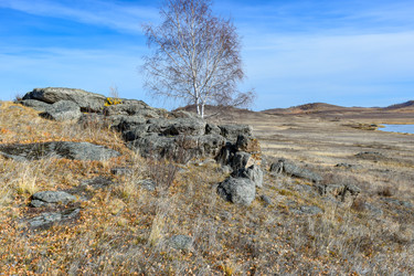 Similar image 22224503