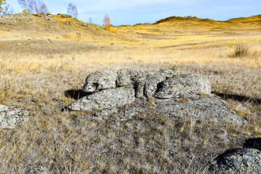 Similar image 22224511