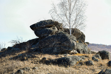 Similar image 22224512