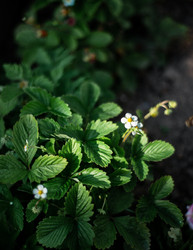 Similar image 22229409