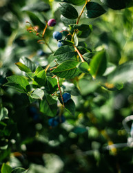 Similar image 22231334