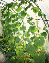 Similar image 22231335