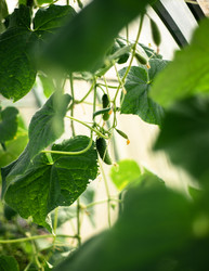 Similar image 22231337