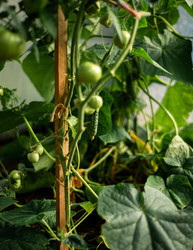 Similar image 22231339