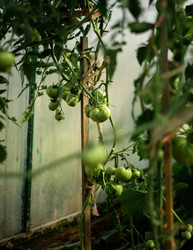 Similar image 22231340