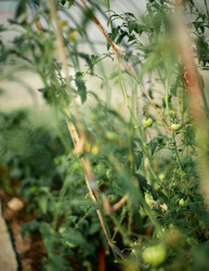 Similar image 22231341