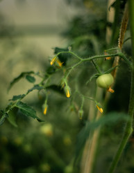 Similar image 22231342