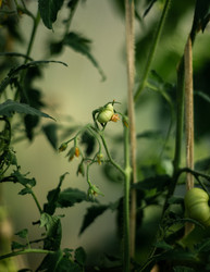 Similar image 22231344