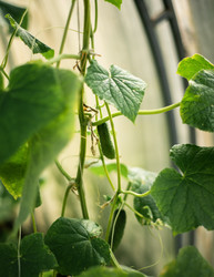 Similar image 22231345