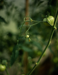 Similar image 22231346