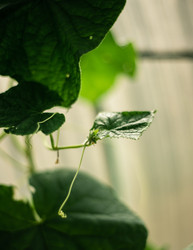 Similar image 22231347