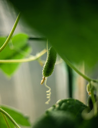 Similar image 22226106