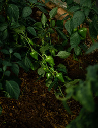 Similar image 22231348