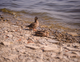 Similar image 22226109