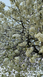 Similar image 22223872