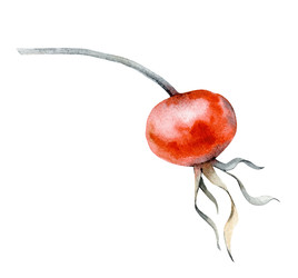 Similar image 22227546