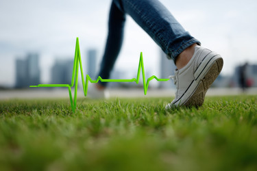 Similar image 22232854