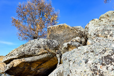 Similar image 22224524