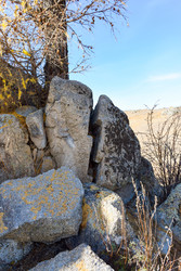 Similar image 22224194