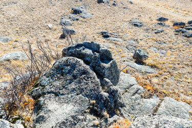 Similar image 22224530